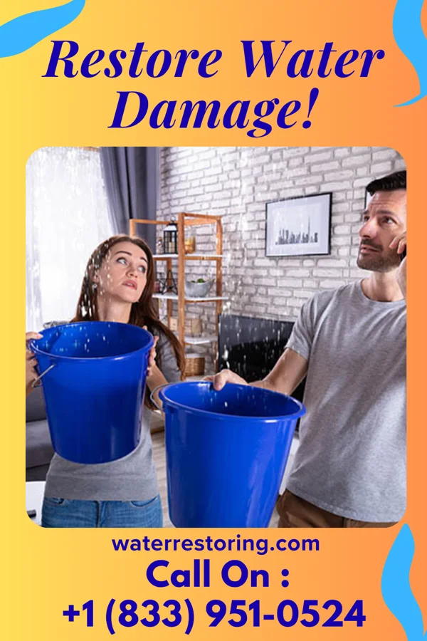 water restoration Silver Water Damage Experts Snowville
